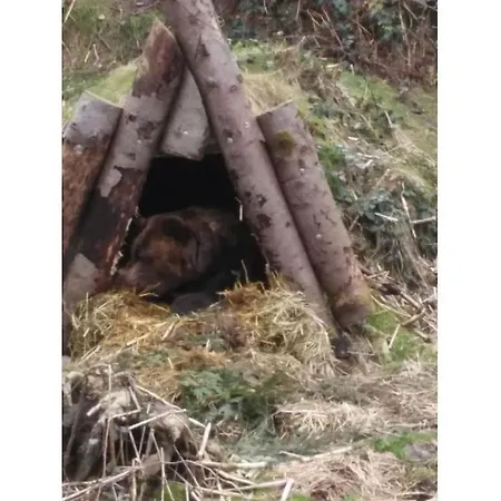 Bromberger Comfortable * Dornstetten