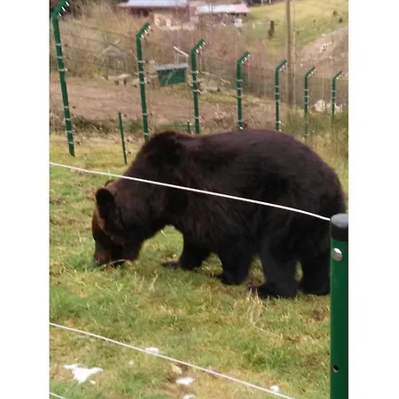 Bromberger Comfortable * Dornstetten